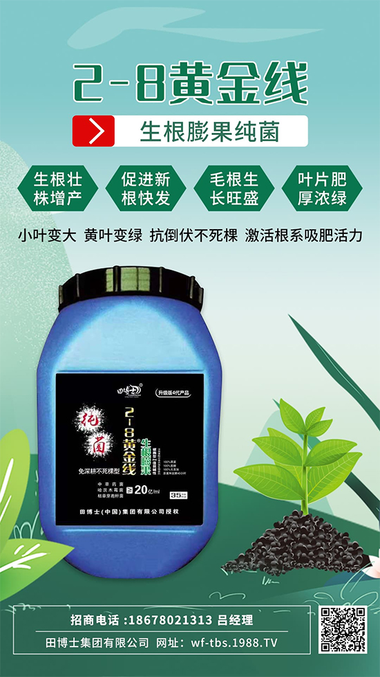 ���Ƿʵ������f�����L����ϵ�����ﱬ�l(f��)����ԇԇ�@һ��! 