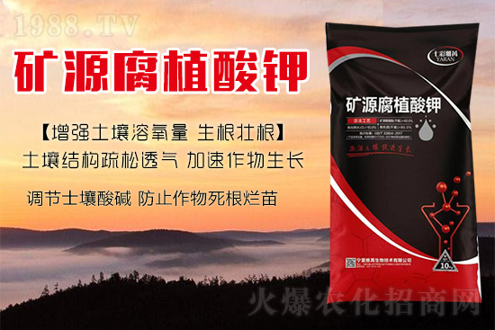 ����Nֲ��������(d��ng)�ׂ��������Ӹ��Ƹ�ϵ��r�أ�