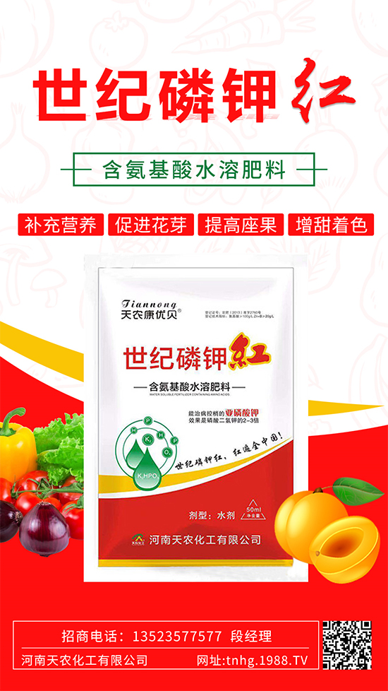 ���������ʲô���������˽����