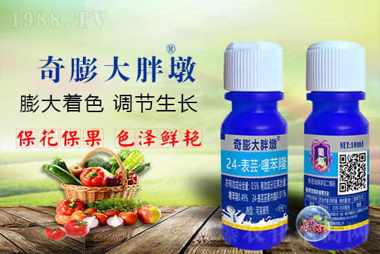     ������Ҫ�߮a(ch��n)��������P(gu��n)�I��������(sh��)���졢�D(zhu��n)ɫ�����u(m��i)��������ڵĮa(ch��n)����Ʒ�|(zh��)����������(l��i)�S��Ĺ��r(n��ng)���r(n��ng)������ӳ�Լҵ���������ס���������������������������������ܛ���չ�����r�l���l(f��)����