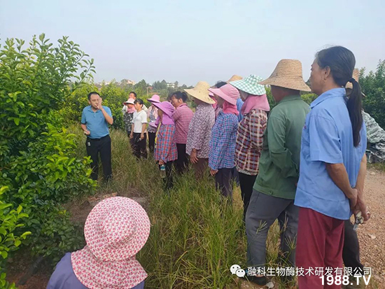 ���M(j��n)���g���^���������ٮa(ch��n)�I(y��)