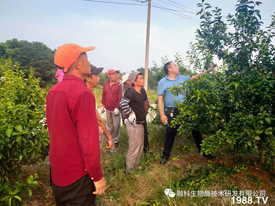 ���M(j��n)���g���^���������ٮa(ch��n)�I(y��)