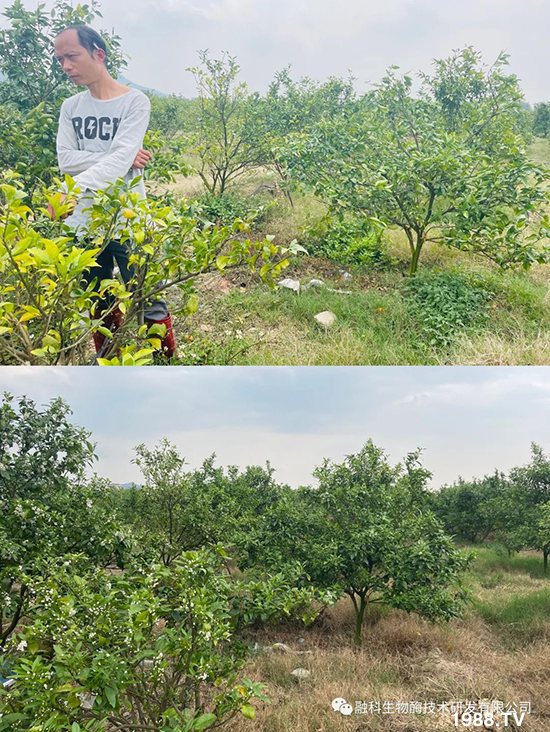 ���M(j��n)���g���^���������ٮa(ch��n)�I(y��)