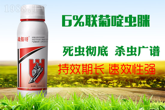 �������x���l(f��)�l��������ע����ǰ���Σ��ׂ������p�ɸ㶨��