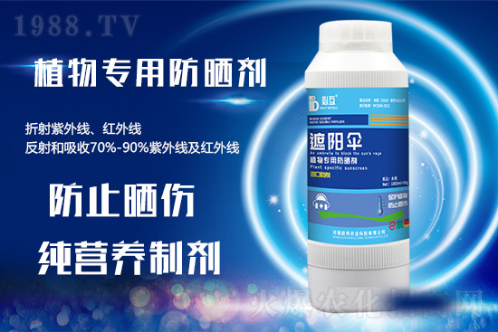 �ߜ������u������������E�[���쿴�������ˆ�? 