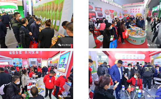 �����I�N�I(y��)���[��3