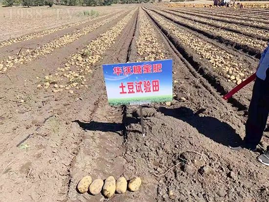     �@�����۷��r(n��ng)�YȦ������ԭ����Ȼ���ͳɱ��߷�Ч�_��(chu��ng)����