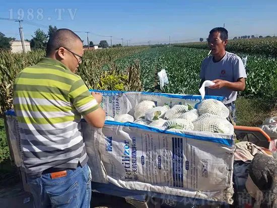     �@�����۷��r(n��ng)�YȦ������ԭ����Ȼ���ͳɱ��߷�Ч�_��(chu��ng)����