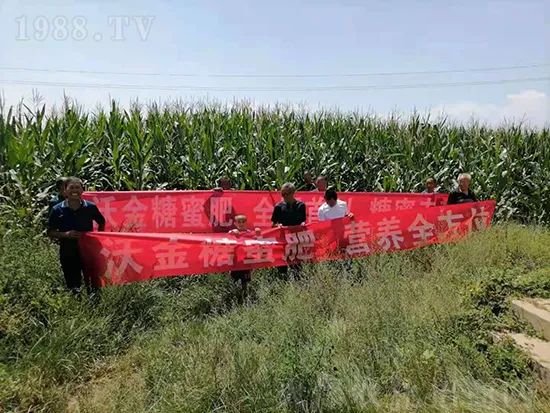     �@�����۷��r(n��ng)�YȦ������ԭ����Ȼ���ͳɱ��߷�Ч�_��(chu��ng)����