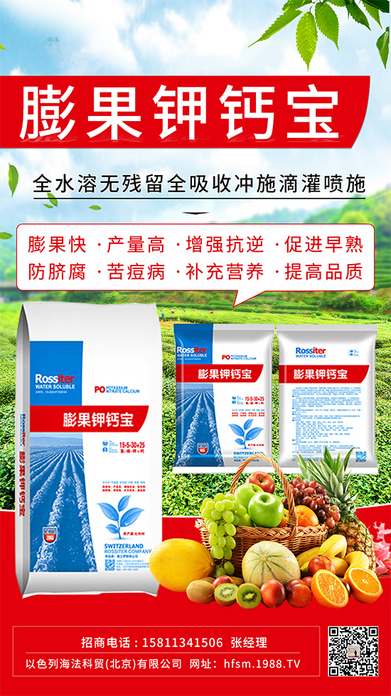 �����M(j��n)�������������������ֵ�����@��(g��)����ֵ�Ó�����