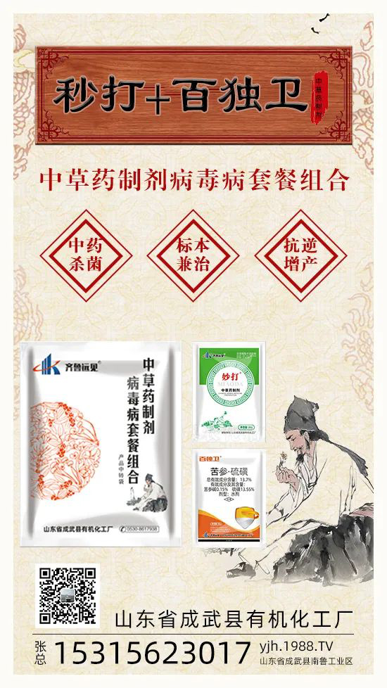 ��ֲ�ﰩ�Y-���������������������в�ˎ������������