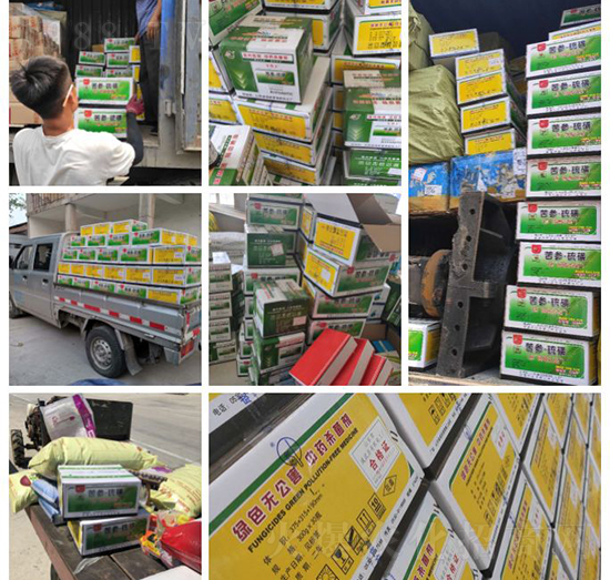 ��ֲ�ﰩ�Y-���������������������в�ˎ������������