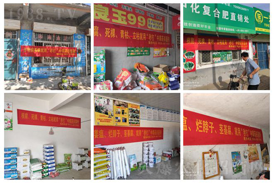 ��ֲ�ﰩ�Y-���������������������в�ˎ������������