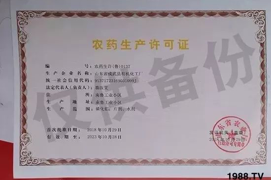 ��ֲ�ﰩ�Y-���������������������в�ˎ������������