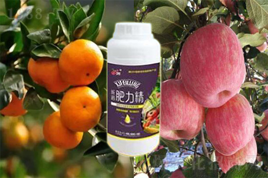 ����׷�ʏ�(f��)�Ϸʺ�߀�����غ����ܶ��˶��e�������������_�x��