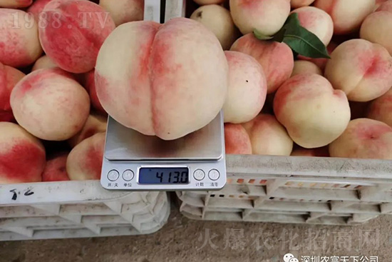 �Ҙ������ô�k���Ҙ����ԭ���A(y��)������