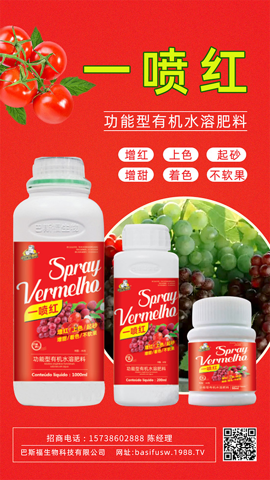 ����(sh��)�D(zhu��n)ɫ����������������������u�r(ji��)������ǰ���У�