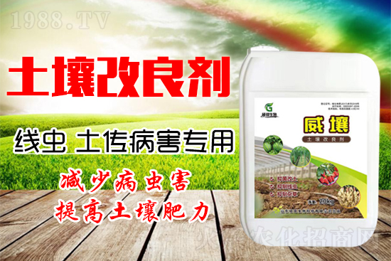 222������Y(ji��)���x(ch��ng)������������(y��n)�أ�����һ�з�������