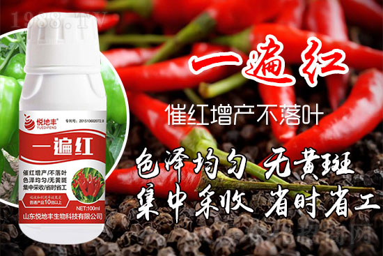 ������ʲôҪ���t���������t��ɫ�Ă�(g��)���Ӻ���