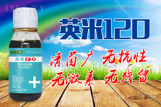 ��轰׷۲��İY����ʲô����轰׷۲����η�����