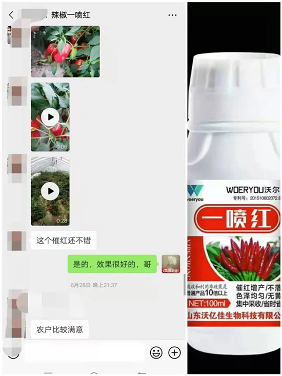 ���t�����95%���߼t�����~�����뷭�׷�����������һ���t��