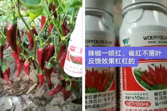 ���t�����95%���߼t�����~�����뷭�׷�����������һ���t��