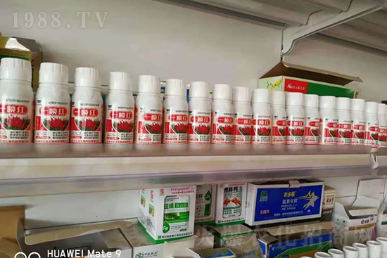 ���t�����95%���߼t�����~�����뷭�׷�����������һ���t��