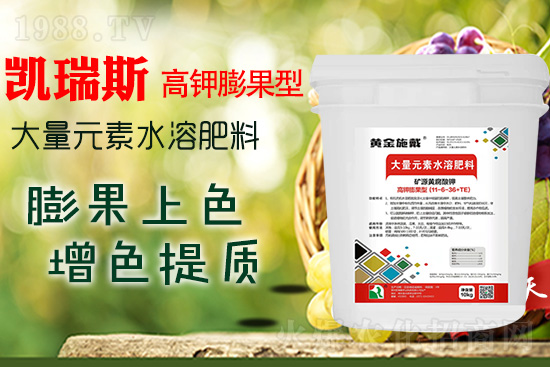     ���M���������ɫ���@���䷽��(zh��n)�]�e���������|(zh��)���a(ch��n)��