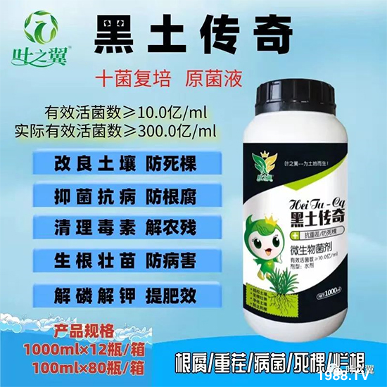 �ߜؼ���(ji��)����ȱ�}�Y����Ό���