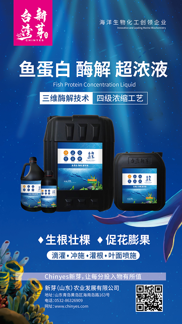 瓶裝魚(yú)蛋白酶解超濃液-臺(tái)灣新芽3