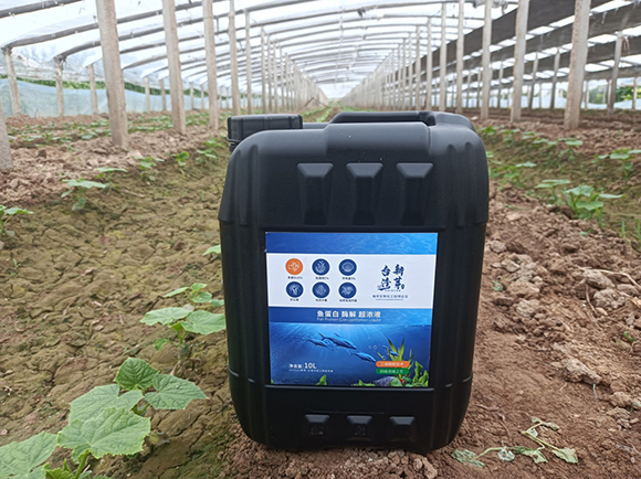 魚蛋白酶解超濃液-臺灣新芽2