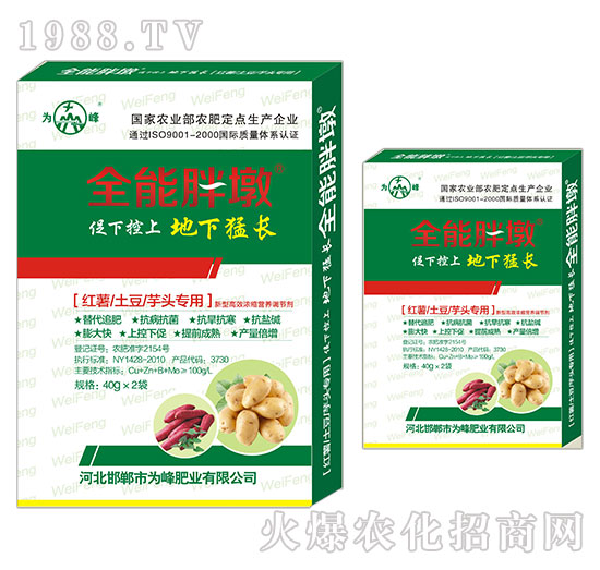 �t�������������^����-ȫ���ֶ�-���