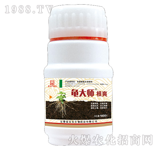 1000g根爽-龜大師-富美實(shí)