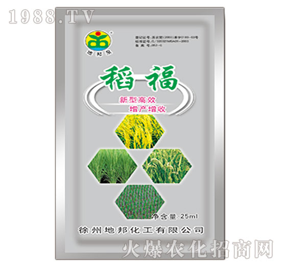 ����-�ذ�Ȫ