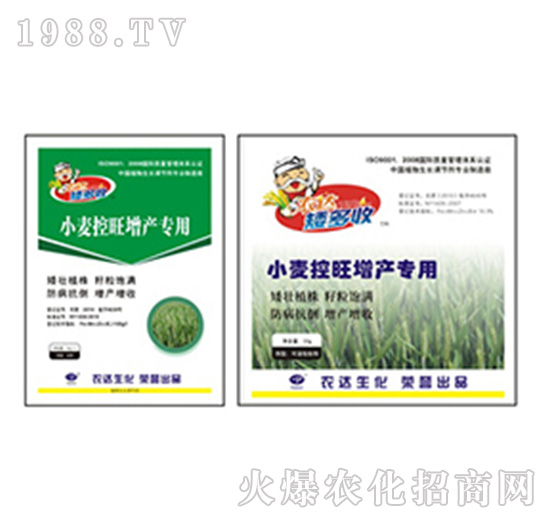 小麥控旺增產(chǎn)專用-矮多收-農(nóng)達(dá)生化
