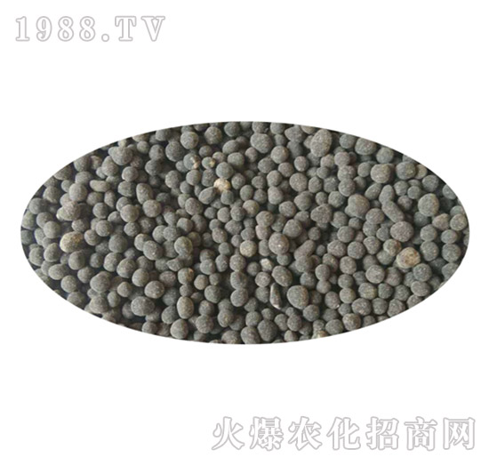 ������������-�֠���(y��u)