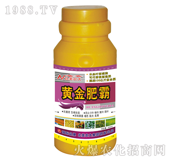 500g�S��ʰ�-�����r(n��ng)��