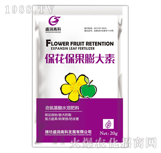 �������������-ʢ���߿�