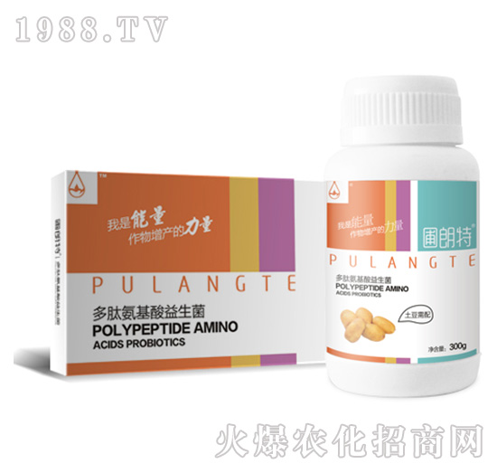 塊根莖需配-多肽氨基酸益生菌-圃朗特