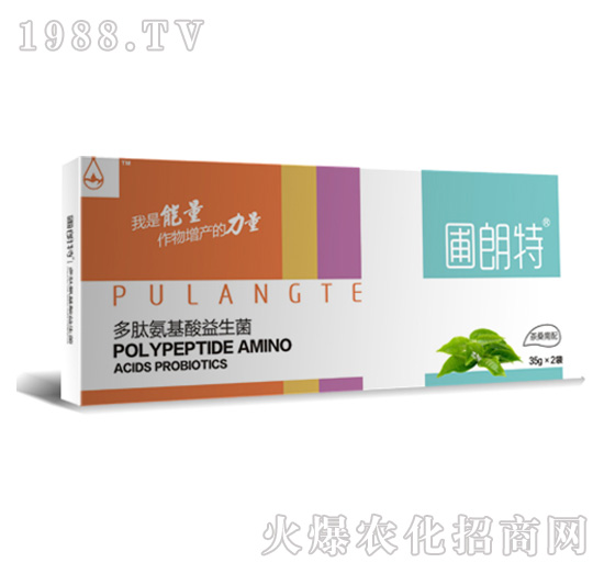 茶桑需配-多肽氨基酸益生菌-圃朗特