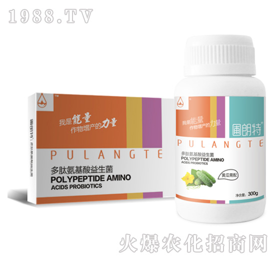 �S������-���İ�����������-������