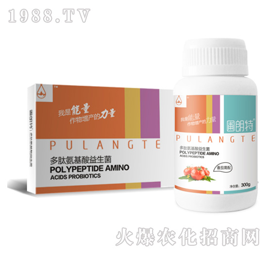 ��������-���İ�����������-������