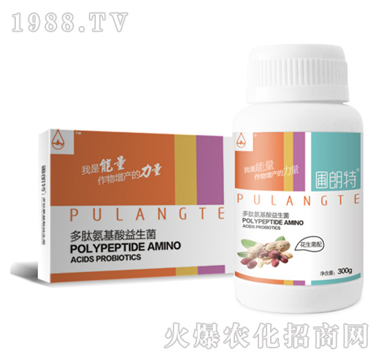 ��������-���İ�����������-������