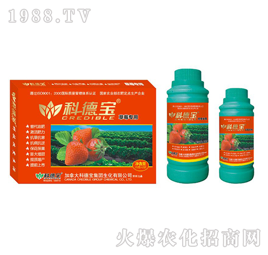 草莓專用營(yíng)養(yǎng)增產(chǎn)調(diào)理劑-科德寶