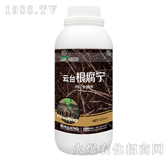 云臺(tái)根腐寧-云臺(tái)大化