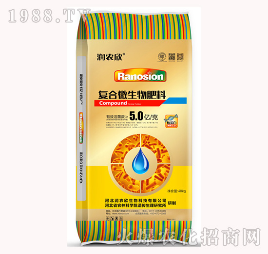 �ͺ�΢�������-���r��