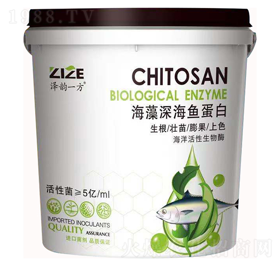 ������~(y��)����-���r(n��ng)���