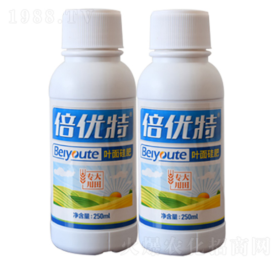 ������~����-����(y��u)��-���