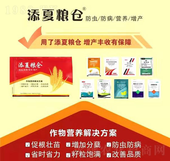 作物營(yíng)養(yǎng)解決方案-添夏糧倉(cāng)-豐收樂(lè)