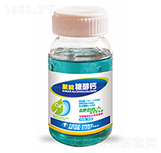 �����Ǵ��}-�����Ƽ�